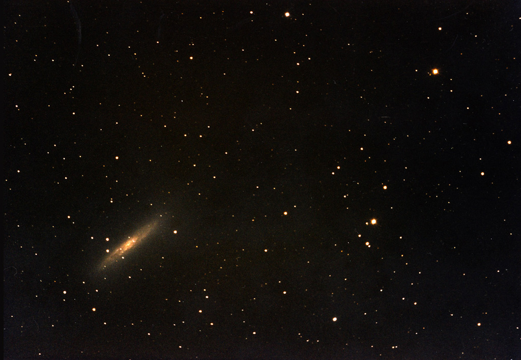 Ngc253